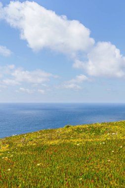 Cabo da Roca içinde iz