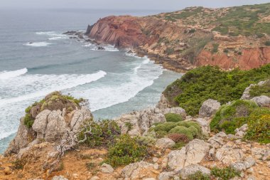 Bitki örtüsü, uçurumlar ve okyanus Cabo de Sao Vicente