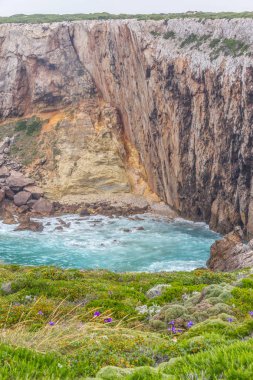 Bitki örtüsü, uçurumlar ve okyanus Cabo de Sao Vicente