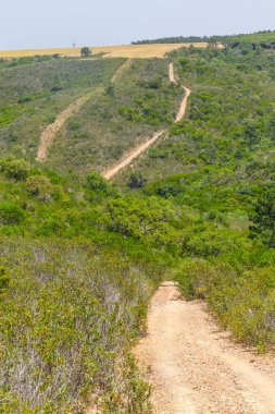 Dağlar ve bitki örtüsü Aljezur iz