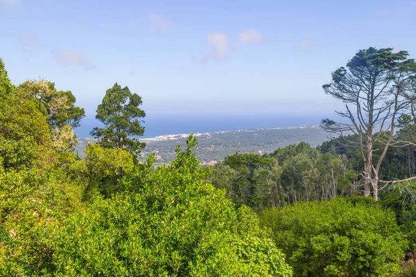 Sintra görünümünde sahil