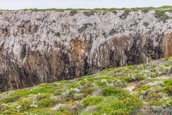 Bitki örtüsü ve Cabo de Sao Vicente kayalıklarla