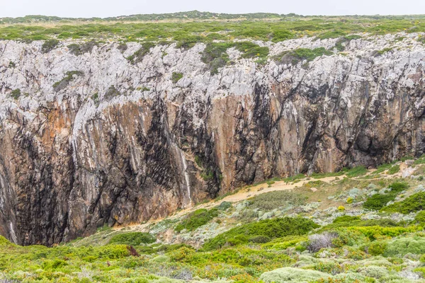 Bitki örtüsü ve Cabo de Sao Vicente kayalıklarla