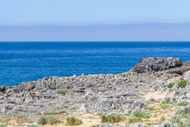 Cliff ve Cascais okyanusta