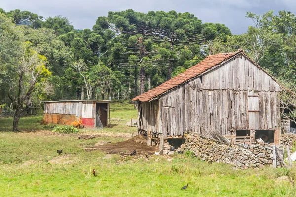 Wood house in a Farm in Gramado