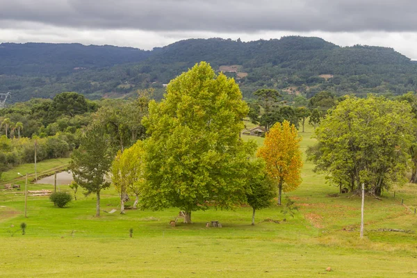 Gramado'ndaki bir gruba Siyah bulutlar