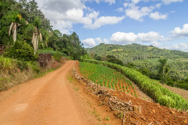 Mısır plantiation çiftlik yolu Gramado