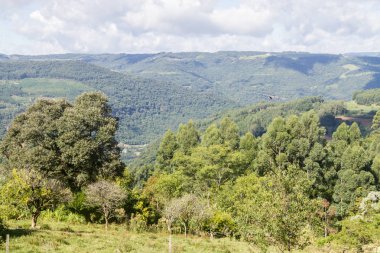 Vadi ve Nova Petropolis dağlarda