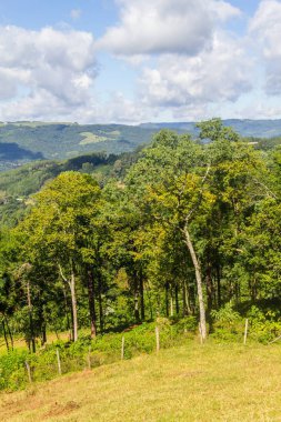 Vadi ve Nova Petropolis dağlarda
