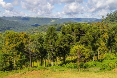 Vadi ve Nova Petropolis dağlarda