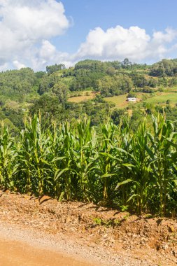 Çiftlik Vadisi ve Nova Petropolis dağlarda