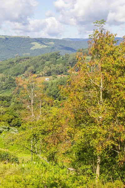 Çiftlik Vadisi ve Nova Petropolis dağlarda