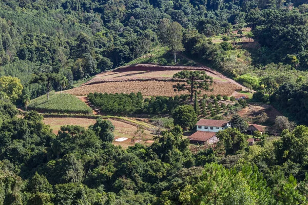 Çiftlik Vadisi ve Nova Petropolis dağlarda