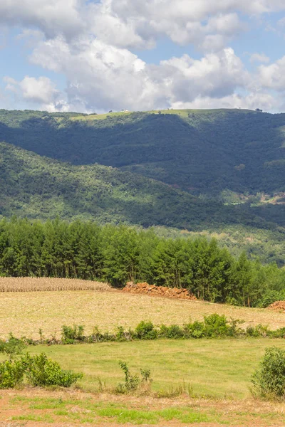 Çiftlik Vadisi ve Nova Petropolis dağlarda