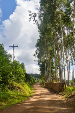 Çiftlik yolu Vadisi ve Nova Petropolis dağlarda