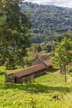 Nova Petropolis grupta evi
