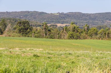 Çiftlik çiftlik, orman ve dağlar Gramado içinde