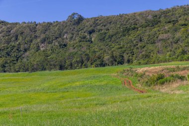 Çiftlik çiftlik, orman ve dağlar Gramado içinde
