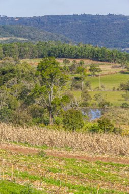 Tarım, orman ve dağlar Gramado içinde