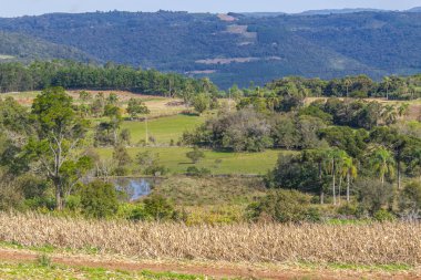 Çiftlik, Orman Gölü ve plantasyon içinde Gramado