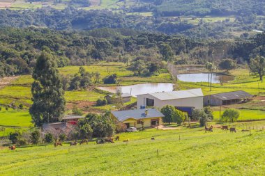 İnek, çiftlik ve Gramado gölleri