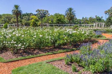 El Rosedal de Palermo