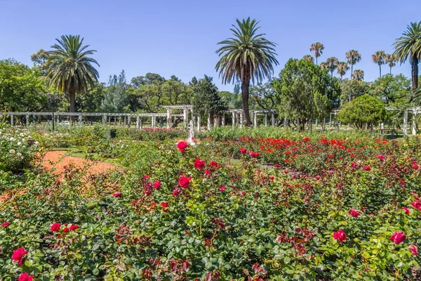 El Rosedal de Palermo — Fotografia de Stock