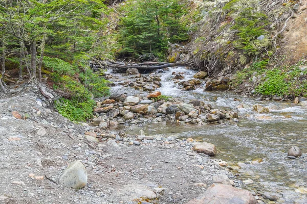 Stream in Ushuaia Forest — Stockfoto