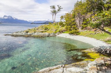 Tierra del Fuego Milli Park orman ve beagle kanalı