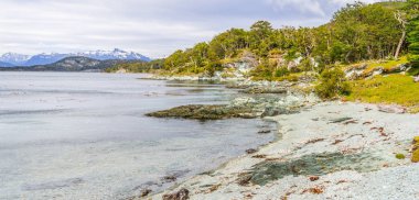 Sahil yolu, Tierra del Fuego Natio orman ve beagle kanalı