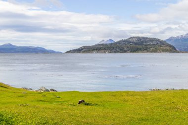 Sahil yolu, Tierra del Fuego Natio orman ve beagle kanalı