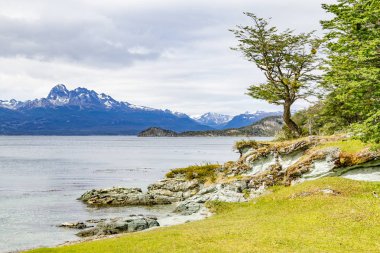 Sahil yolu, Tierra del Fuego Natio orman ve beagle kanalı