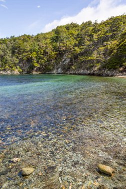 Sahil yolu, Tierra del Fuego Natio orman ve beagle kanalı