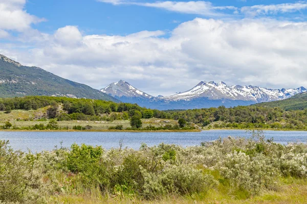 Bosque Montañoso de Nieve y Río Lapataia, Nación Tierra del Fuego — Foto de Stock
