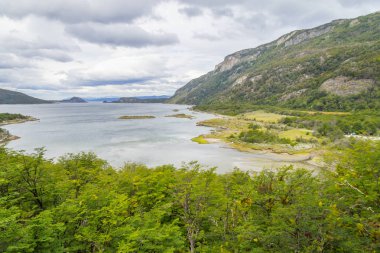 İz, orman ve Lapataia defne, Tierra del Fuego Milli Parkı