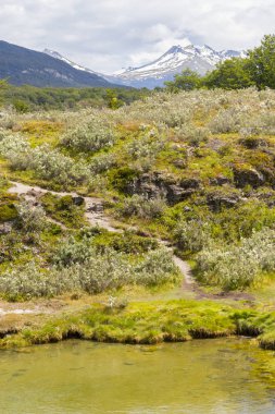 İz, orman ve dağ, Tierra del Fuego Milli Parkı