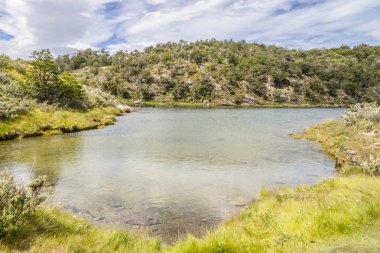 Orman ve Lapataia Nehri, Tierra del Fuego Milli Parkı