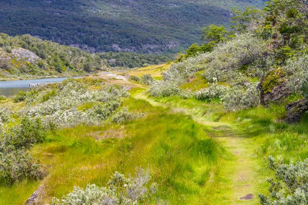 Szlak, lasu i rzeki Lapataia, Park Narodowy Tierra del Fuego — Zdjęcie stockowe