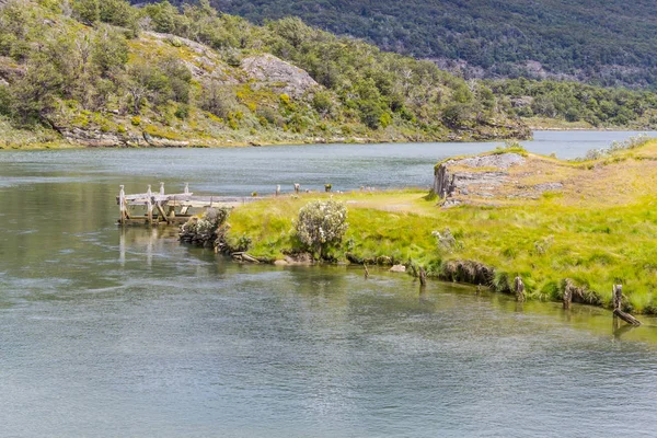 Bosque y río Lapataia, Parque Nacional Tierra del Fuego — Foto de Stock