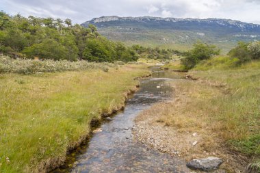 İz, orman ve Lapataia Nehri, Tierra del Fuego Milli Parkı