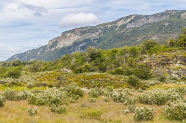 İz, orman ve dağ, Tierra del Fuego Milli Parkı