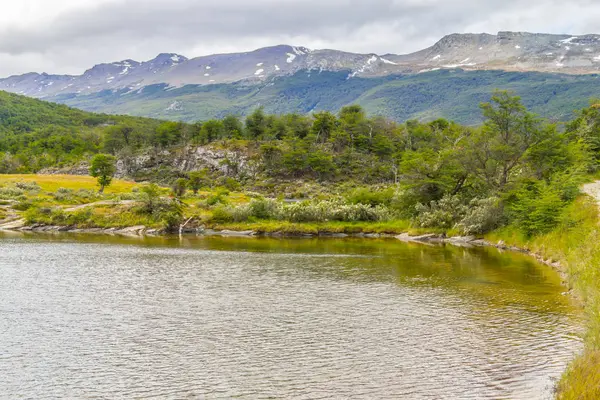 Sendero, Bosque y Río Lapataia, Parque Nacional Tierra del Fuego — Foto de Stock