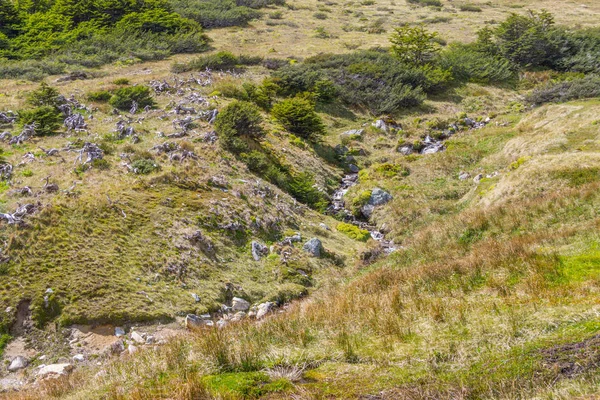 Sendero Laguna Turquesa con cascada pequeña —  Fotos de Stock