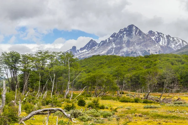 Тропа Лагуна Эсмеральда с лесом и горами — стоковое фото