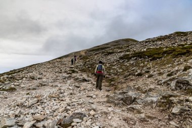 Batı ile Croagh Patrick dağında patika, kaya ve bitki örtüsü
