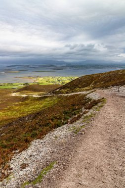 Batı ile Croagh Patrick dağında patika, kaya ve bitki örtüsü