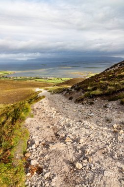Batı ile Croagh Patrick dağında patika, kaya ve bitki örtüsü