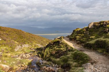 Croagh Patrick Dağı 'ndaki kaya duvarı, bitki örtüsü ve dere.