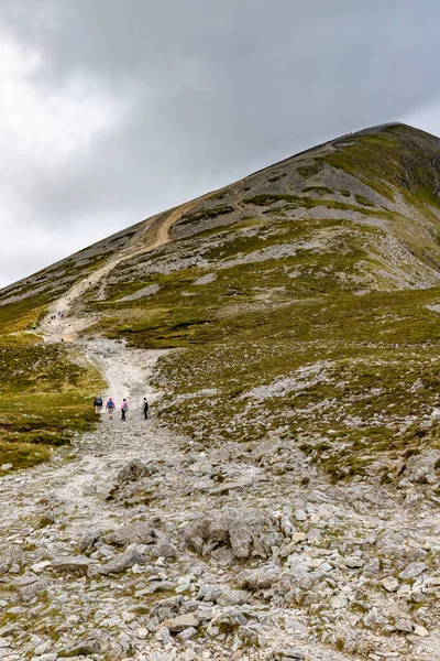 Weg, Felsen und Vegetation am Croagh Patrick Mountain mit Westen — Stockfoto