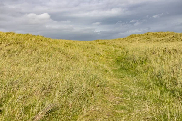 Sentier dans la végétation à la plage de Bertra — Photo